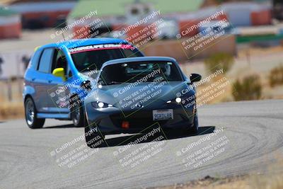 media/Mar-08-2025-Extreme Speed (Sat) [[4abb97269e]]/Purple/Turns 2  and  4 (Session 2)/
